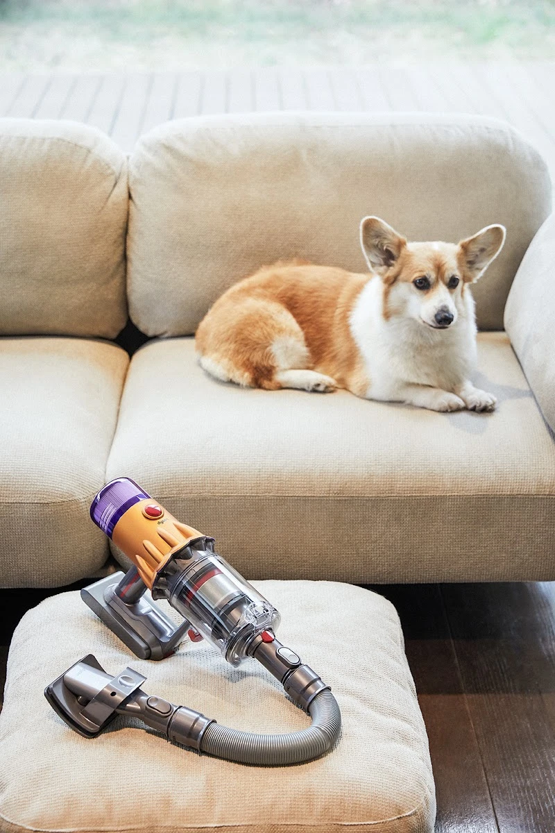 dyson — Product 사진 01